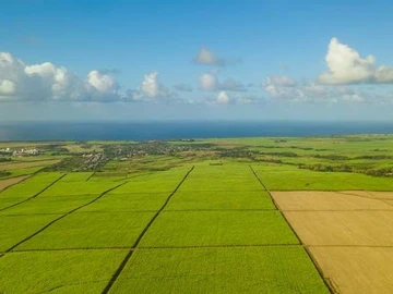 Agricultural Land