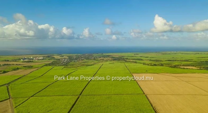 Les Parcelles – Un Investissement Ancré dans la Nature et la Durabilité