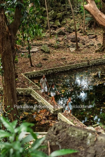 Anahita Beau Champ: La Ravine Demera Signature Villa