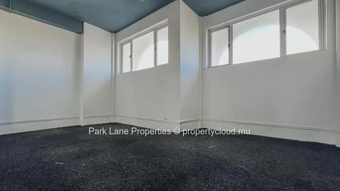 Immeuble commercial de prestige – Opportunité d’investissement stratégique au cœur de Rose Hill