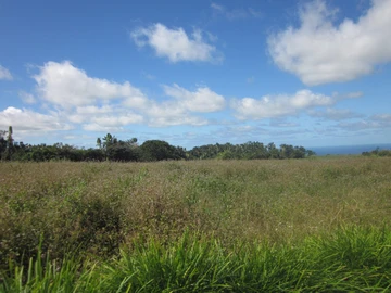 Residential Land