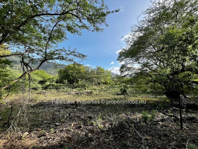 À Vendre – Terrain Résidentiel De 1 438 m² Dans Les Riverains, Petite Rivière Noire