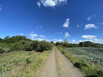 Agricultural Land