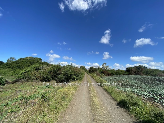 Terrain agricole dans l'est