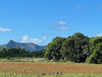 Agricultural Land