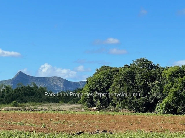 Exceptional investment opportunity: strategically located agricultural land in Valentina