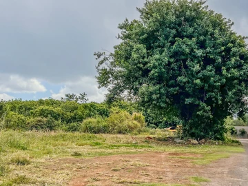 Residential Land
